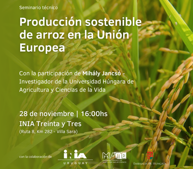 Seminario – Producción Sostenible de Arroz en la Unión Europea