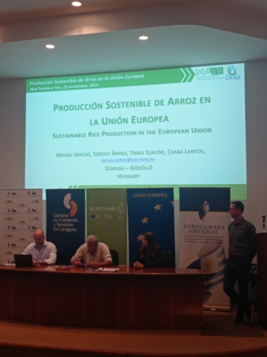 Taller sobre Producción Sostenible de Arroz en la UE