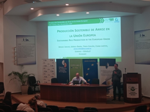 Taller sobre Producción Sostenible de Arroz en la UE